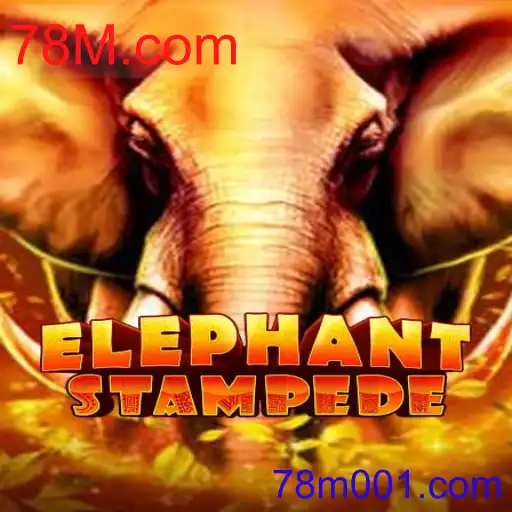 ElephantStampede